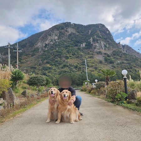 Jeju 542 Pension ซอกวีโพ ภายนอก รูปภาพ