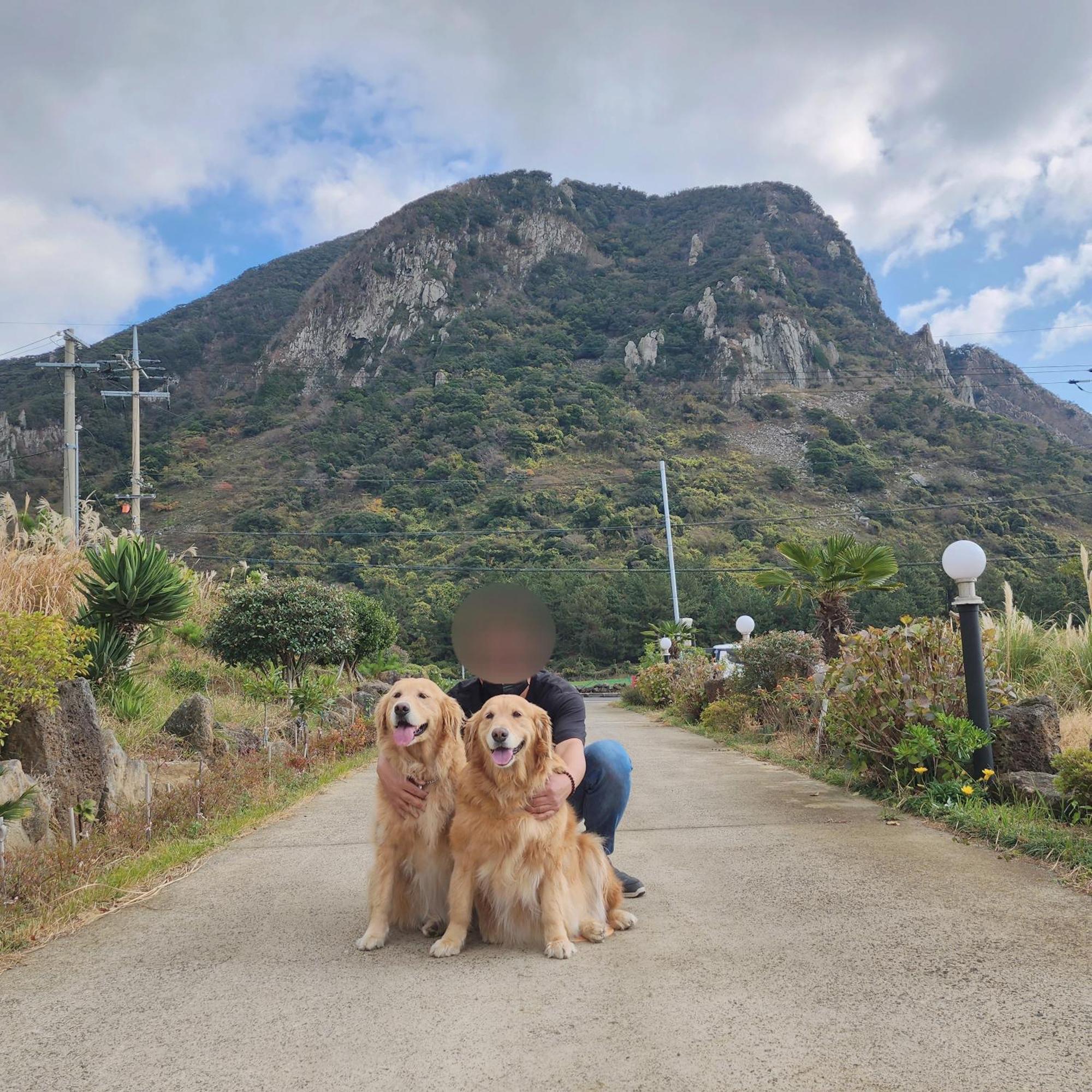 Jeju 542 Pension ซอกวีโพ ภายนอก รูปภาพ